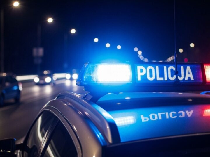 Policja likwiduje nielegalną plantację marihuany, która miała trafić do szkół podstawowych
