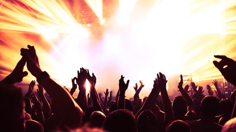 Drewno, muzyka i opowieści – drugi dzień „na szlaku” w Otwocku
